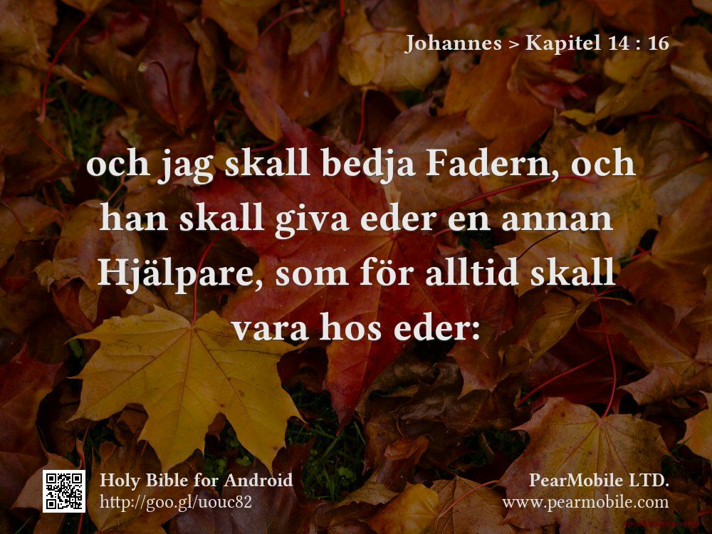 Johannes, Kapitel 14:16